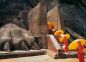 Tour Hành Hương Srilanka: Đất Phật Tích Lan - Đảo Phật trên Ấn Độ Dương